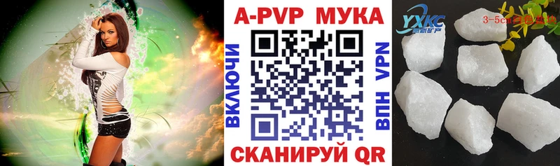 A PVP СК Мезень