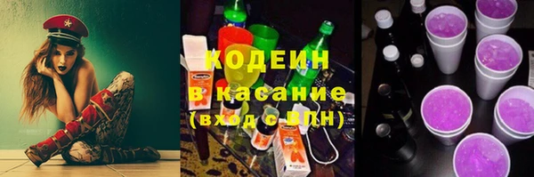 шишки Горнозаводск