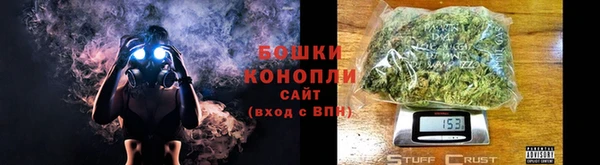 шишки Вязьма