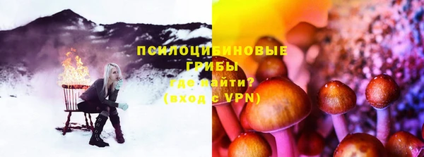 шишки Вязьма