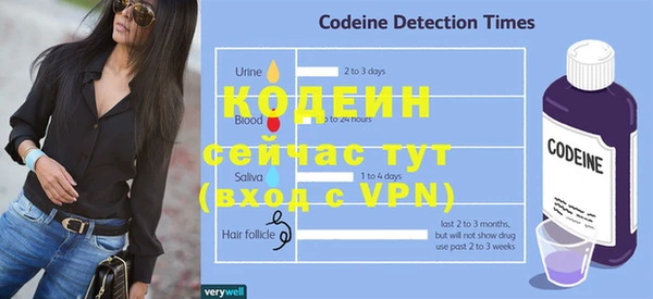 apvp Вяземский