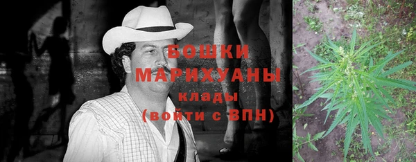 apvp Вяземский