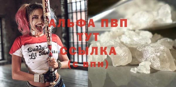 мдпв Горно-Алтайск