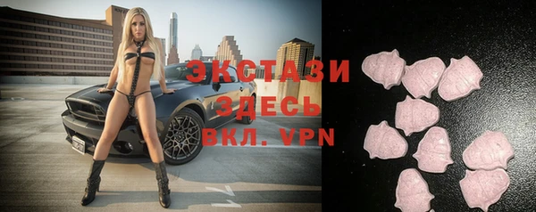 apvp Вяземский