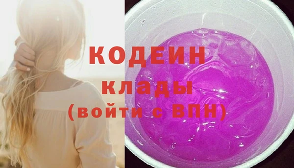 apvp Вяземский