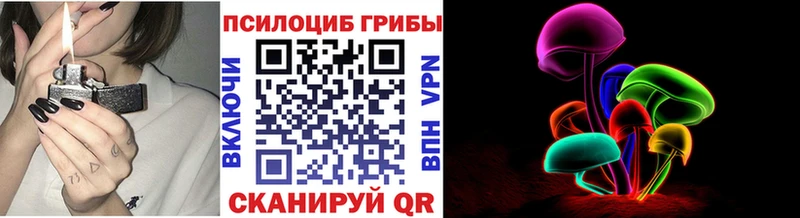 Галлюциногенные грибы GOLDEN TEACHER  наркота  Мезень 